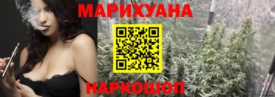 сатива Краснодар