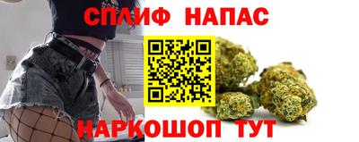 сатива Краснодар