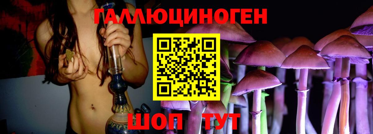 Канаш  Псилоцибиновые грибы мицелий  Вход с VPN 